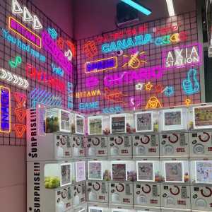 08 Capsule Vending